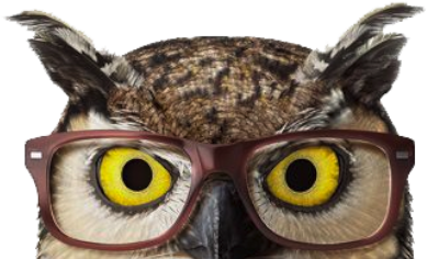 Owl Face Hero