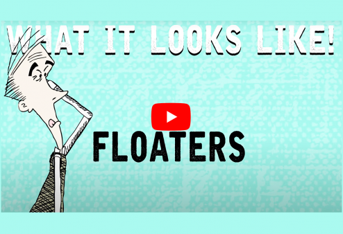 What It Looks Like! Floaters